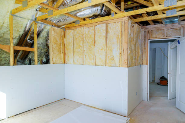 Professional Insulation Contractor in MN