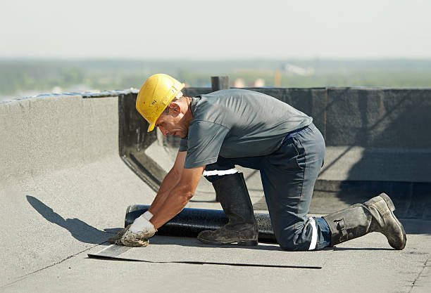 Best Residential Insulation in Mahnomen, MN