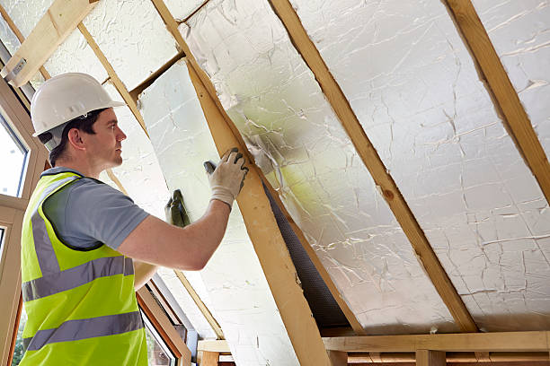 Best Insulation Installation Services in Mahnomen, MN